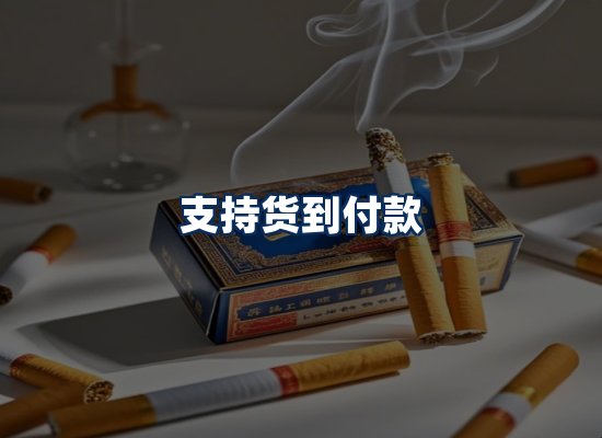 专业团队办公环境